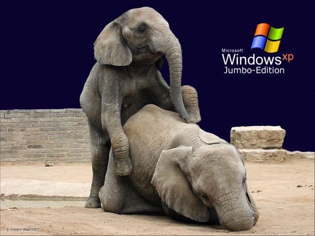 Обои картинки фото windows, xp, jumbo, edition, компьютеры