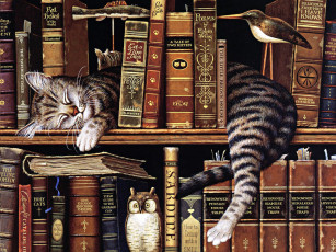 обоя рисованные, животные, книги, птица, сова, кот