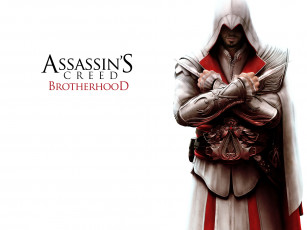 Картинка видео игры assassin`s creed brotherhood