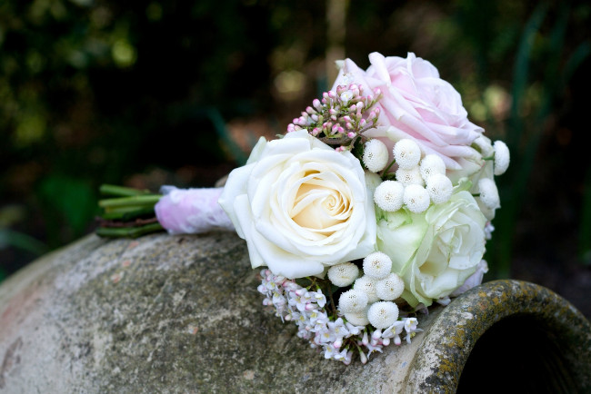 Обои картинки фото цветы, букеты, композиции, розы, белый, хризантемы, кувшин