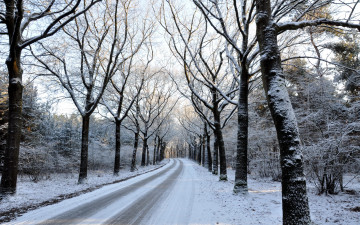 Картинка природа дороги пейзаж дорога зима