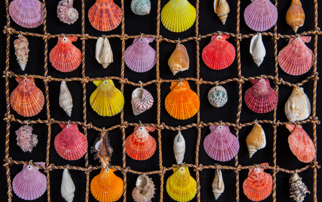 Обои картинки фото разное, ракушки, кораллы, декоративные, spa, камни, морские, цветные, клетки, веревка