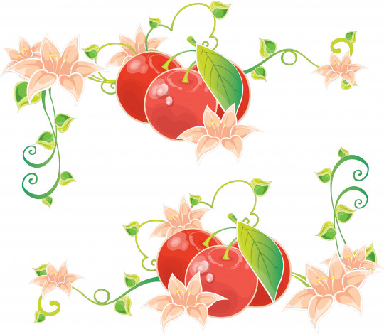 Обои картинки фото векторная графика, цветы, вишни