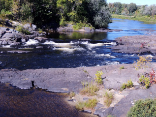 Картинка природа реки озера камни деревья поток вода