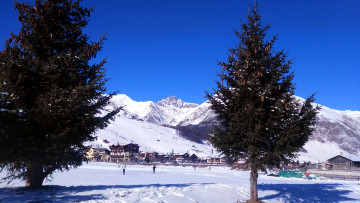 Картинка города -+пейзажи елки снег горы зима шишки