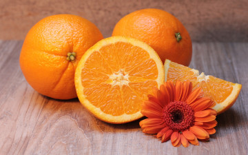 Картинка еда цитрусы гербера апельсины