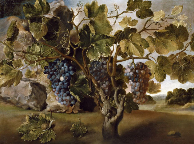 Обои картинки фото рисованное, живопись, картина, пейзаж, с, виноградной, лозой, ягоды, гроздь, томас, хепес
