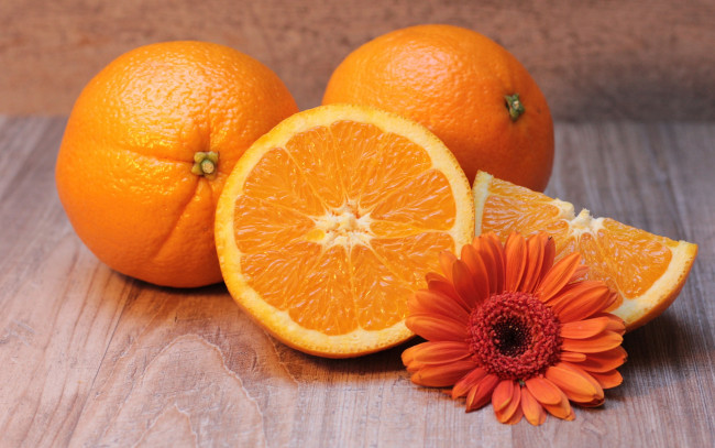 Обои картинки фото еда, цитрусы, гербера, апельсины