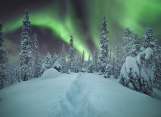 Картинка природа северное+сияние зима сияние деревья снег небо лес