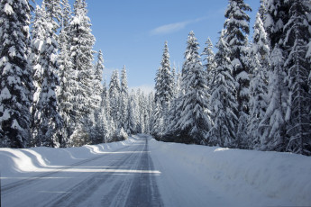 Картинка природа дороги дорога снег лес