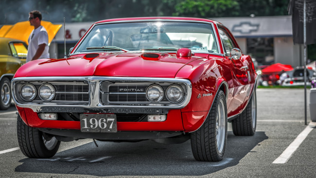 Обои картинки фото автомобили, выставки и уличные фото, 1967, pontiac, firebird