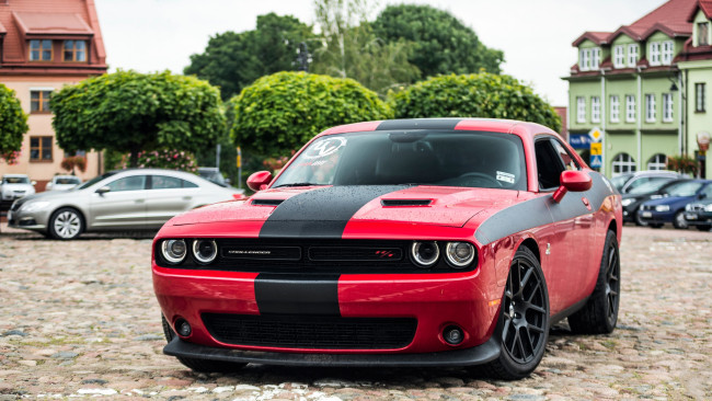 Обои картинки фото автомобили, выставки и уличные фото, dodge, challenger