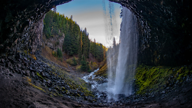 Обои картинки фото природа, водопады, пещера, деревья, водопад