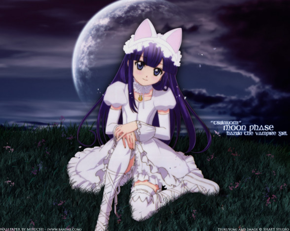 Обои картинки фото аниме, tsukuyomi, moon, phase