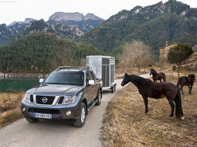 Обои картинки фото автомобили, nissan, datsun