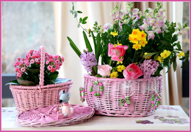Обои картинки фото цветы, разные, вместе, корзины, гиацинт, каланхоэ, мышонок, тюльпаны, нарциссы