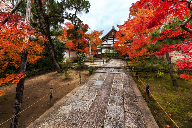 Обои картинки фото kyoto koyo, города, - пейзажи, осень, парк, краски, дорожка, дом