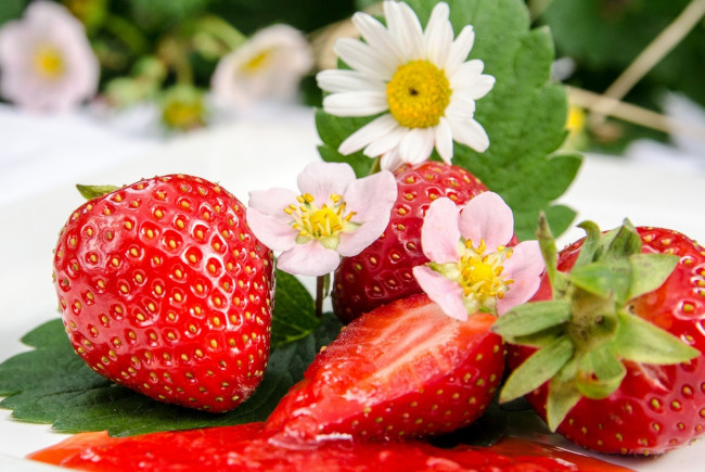 Обои картинки фото еда, клубника,  земляника, красные, ягоды, варенье, джем, листья, цветы