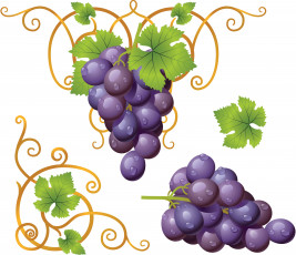 обоя векторная графика, еда, виноград, лоза, листья