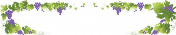 Картинка векторная+графика природа листья лоза виноград