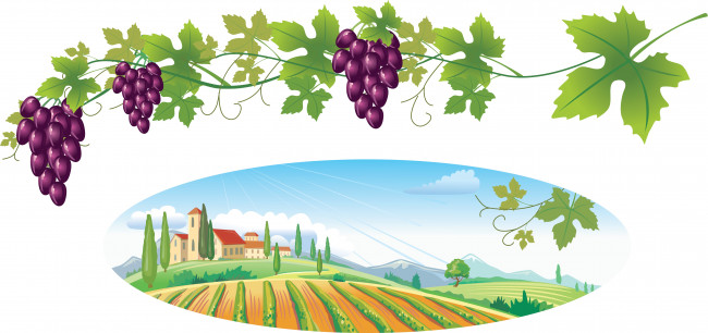 Обои картинки фото векторная графика, природа, поле, дома, листья, лоза, виноград