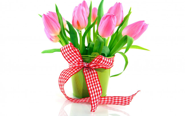 Обои картинки фото цветы, тюльпаны, розовый, бант, лента, ведерко