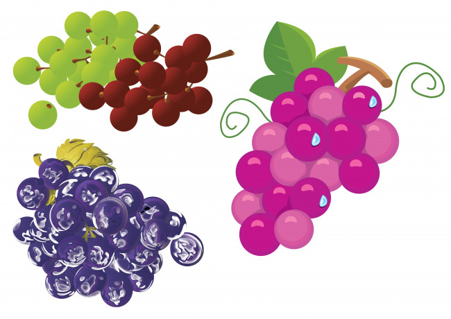 Обои картинки фото векторная графика, еда, лоза, виноград, листья