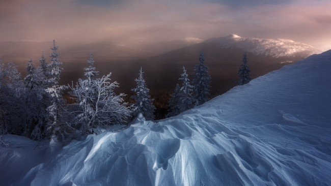 Обои картинки фото природа, зима, горы, деревья, снег