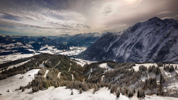 Картинка природа горы снег пейзаж сосны