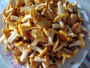 обоя еда, грибы,  грибные блюда, лесные, лисички