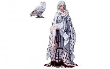 Картинка аниме животные +существа девушка наряд кровь табурет сова