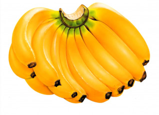 обоя рисованное, еда, бананы, гроздь