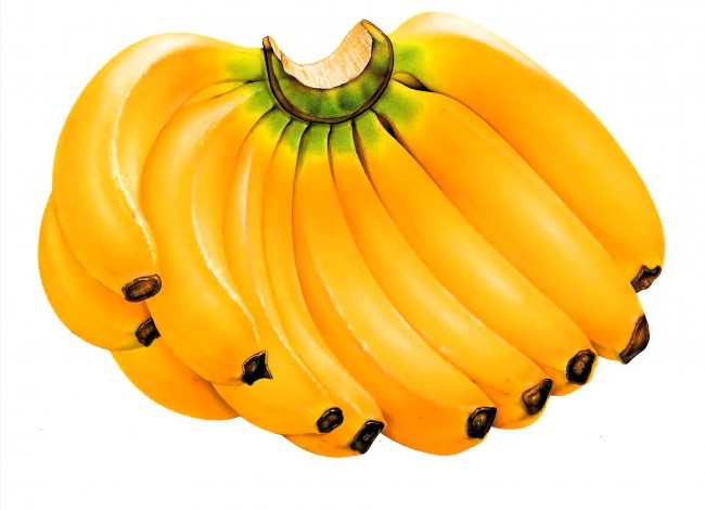 Обои картинки фото рисованное, еда, бананы, гроздь
