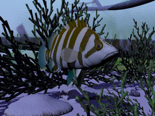 Картинка 3д графика animals животные растения рыба