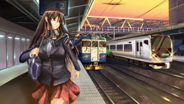 Картинка аниме *unknown другое чёрные волосы шарф длинные девушка школьная форма карие глаза юбка станция поезд