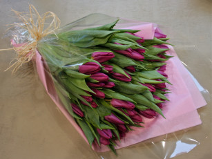 Картинка цветы тюльпаны тюльпары валентинов день
