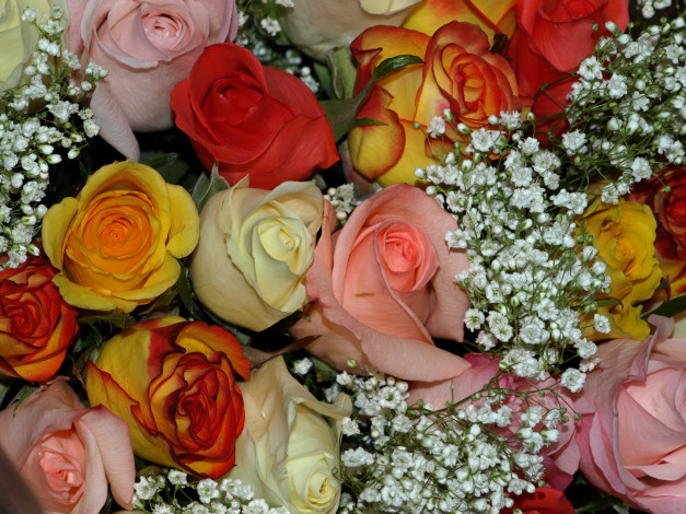 Обои картинки фото цветы, розы, букет