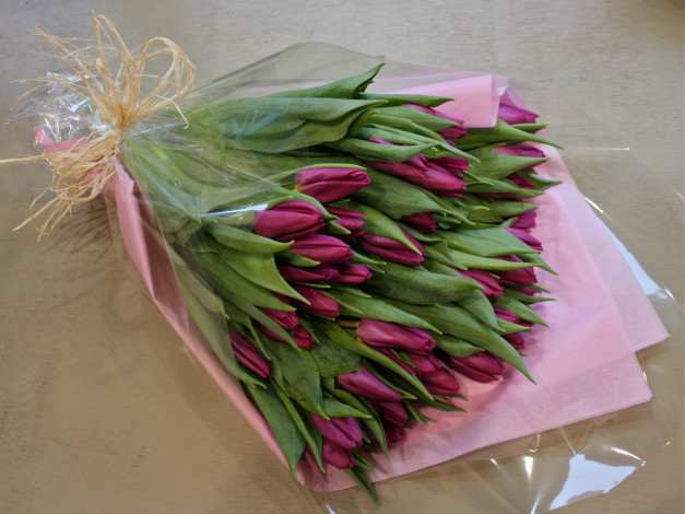 Обои картинки фото цветы, тюльпаны, тюльпары, валентинов, день