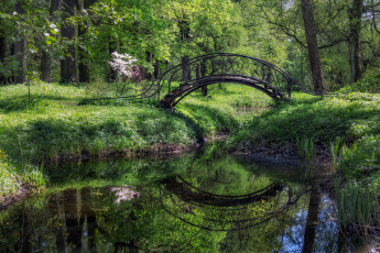 Картинка природа парк зелень мост