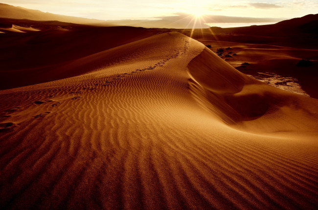 Обои картинки фото природа, пустыни, песок, барханы, дюны, солнце, небо, следы