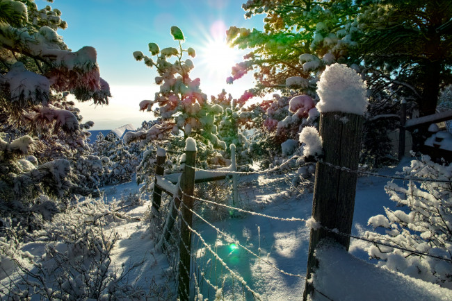 Обои картинки фото природа, зима, забор, лес, снег, сугробы