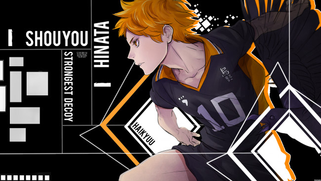 Обои картинки фото аниме, haikyuu, волейбол, хината