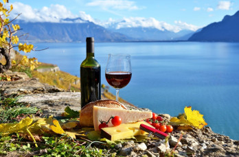 обоя еда, напитки,  вино, бутылка, осень, помидоры, черри, сыр, пикник