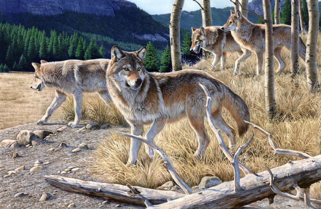 Обои картинки фото рисованное, животные, волки, хищники, бревно, лес, стая
