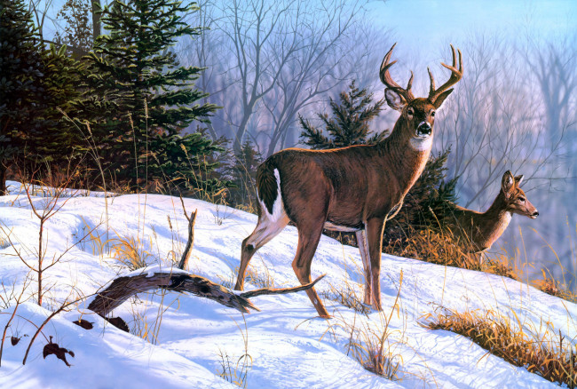 Обои картинки фото рисованное, животные, лес, снег, зима, рога, олени