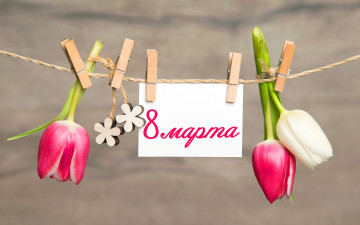 обоя праздничные, международный женский день - 8 марта, flowers, прищепки, spring, открытка, tulips, romantic, 8, марта, тюльпаны, pink, цветы