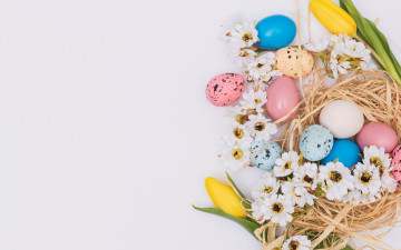 Картинка праздничные пасха decoration весна happy eggs spring цветы яйца крашеные flowers tender pink easter ромашки