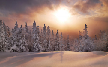 Картинка природа зима южный урал сугробы закат ели лес россия снег хребет уреньга