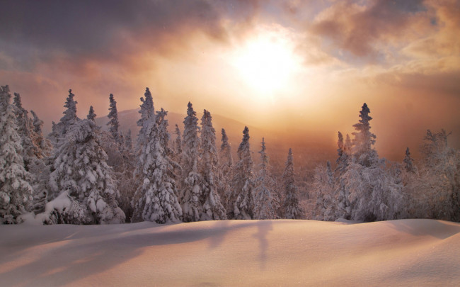 Обои картинки фото природа, зима, южный, урал, сугробы, закат, ели, лес, россия, снег, хребет, уреньга