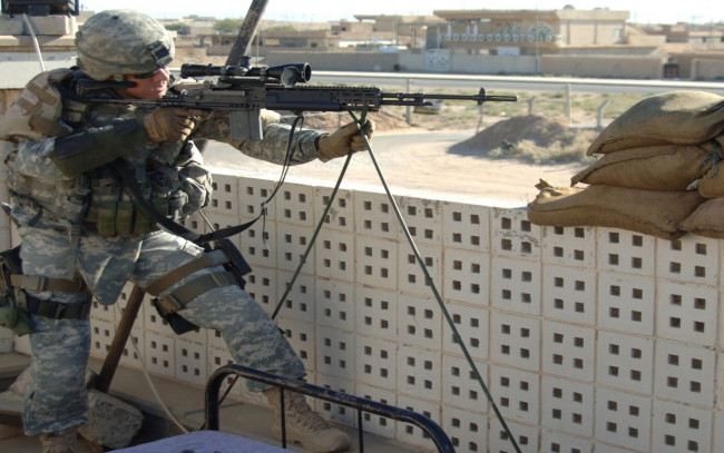 Обои картинки фото mk, 14, enhanced, battle, rifle, оружие, винтовки, прицеломприцелы
